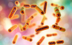 新方法可以确定肠道微生物组的来源