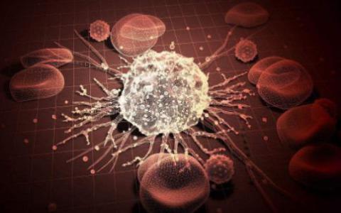 发现涉及癌细胞迁移的新机制