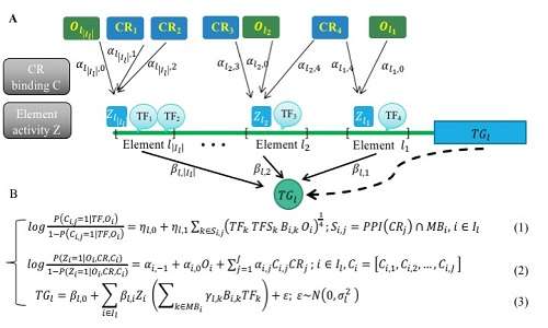 科学家用染色质可及性模拟基因调控