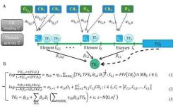 科学家用染色质可及性模拟基因调控