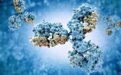 TOX加强了慢性病毒感染中疲惫T细胞的表型和寿命