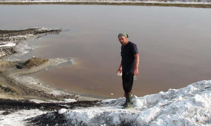 新发现的西伯利亚苏打湖微生物将有机物直接转化为甲烷