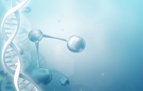 DNA梯子用于DNA研究的廉价分子标尺