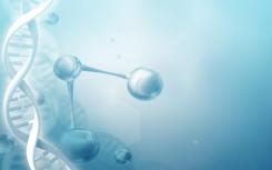 DNA梯子用于DNA研究的廉价分子标尺