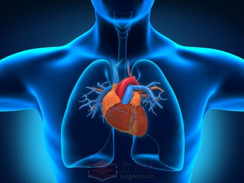 科学家们开发了一个稳定的平台将瘢痕组织重新编程为健康的心脏细胞