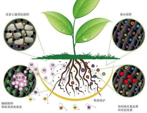 抗生素抗性微生物的历史可以追溯到4.5亿年前远在恐龙时代之前