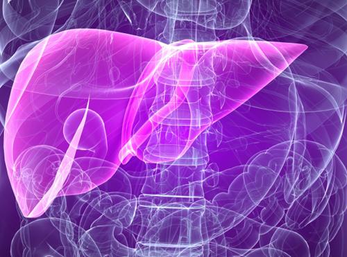 据报道新的检测方法可以检测肝脏疾病可能致命的几年
