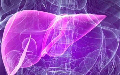 据报道新的检测方法可以检测肝脏疾病可能致命的几年