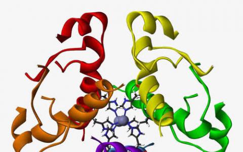 古老的蛋白质开始揭示人类的历史