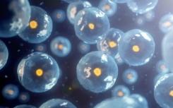 CRISPR-Cas9对真核细胞的干扰宣告重新引发专利战争