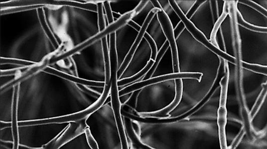 在纳米纤维形成时捕获实时数据使得静电纺丝更加经济实惠