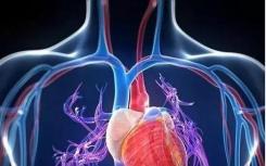 科学家们开发了一个稳定的平台 将瘢痕组织重新编程为健康的心脏细胞