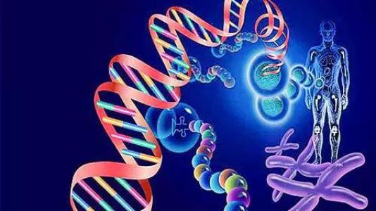 研究人员表示 人体是DNA突变的镶嵌图案