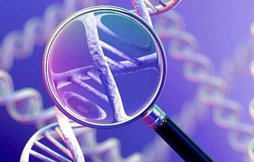 NIH资助临床试验 以评估基因组学在治疗慢性病方面的适用性