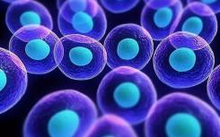 科学家使用基因测序技术揭示干细胞特性