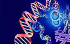 研究人员表示 人体是DNA突变的镶嵌图案