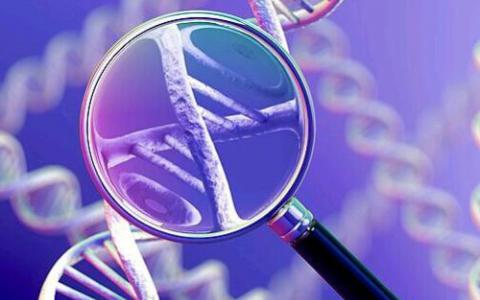 NIH资助临床试验 以评估基因组学在治疗慢性病方面的适用性