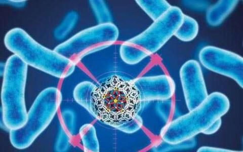 研究人员研究微生物组产生的抗生素如何杀死细菌