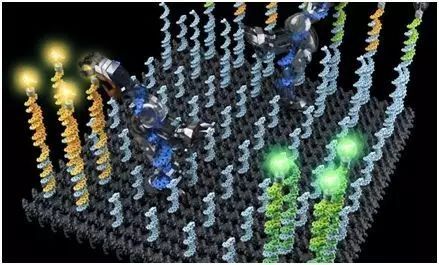 研究人员使用DNA纳米机器来发现溶酶体的亚组