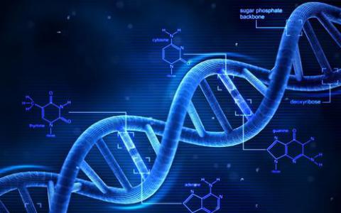 CRISPR研究人员开发精确 无模板基因组编辑的方法