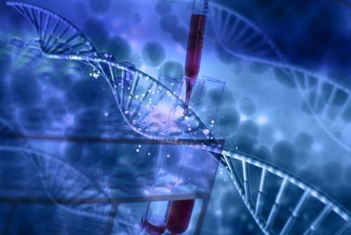 新的基因编辑器利用跳跃基因进行精确的DNA整合