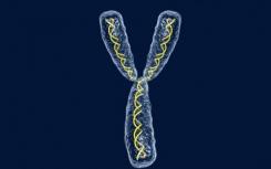 稳定染色体末端可以治疗与年龄有关的疾病