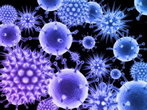 人体皮肤细菌中发现的抗癌化学物质
