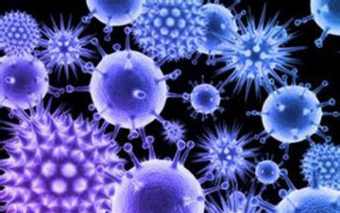 人体皮肤细菌中发现的抗癌化学物质