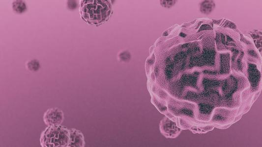 细菌被设计为癌症免疫疗法的特洛伊木马