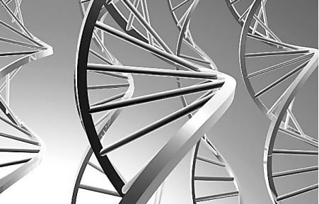 DNA条形码涉及仅使用一小段DNA来识别未知物种