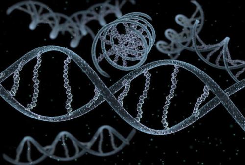 大约9％的人类基因组是病毒来源 虽然遗传物质长期被视为无用的垃圾DNA