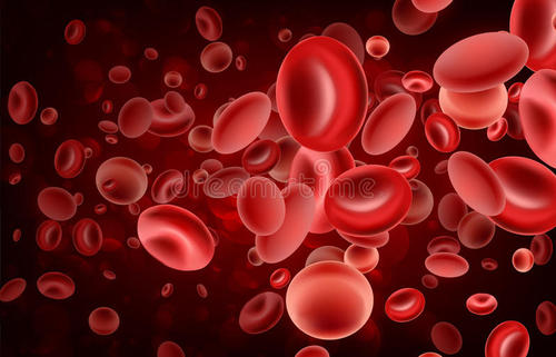 成熟的血细胞从干细胞发展得比以前想象的要快得多