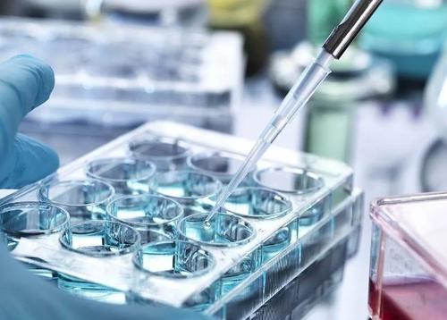瑞典和英国的研究人员宣布他们将在几个月内开始进行干细胞临床试验
