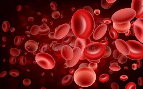 成熟的血细胞从干细胞发展得比以前想象的要快得多