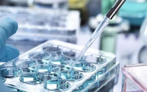 瑞典和英国的研究人员宣布他们将在几个月内开始进行干细胞临床试验