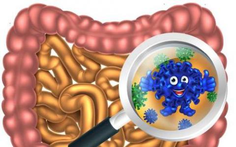 进化可能会使肠道内的好细菌变坏