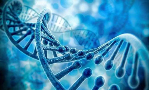 发现了导致RVVC发病机制的基因和细胞过程