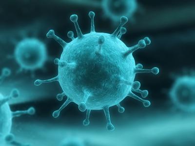科学家揭示了导致唇疱疹的病毒HSV-1的DNA包装机制