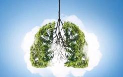 添加临床变量可提高肺分配评分的准确性