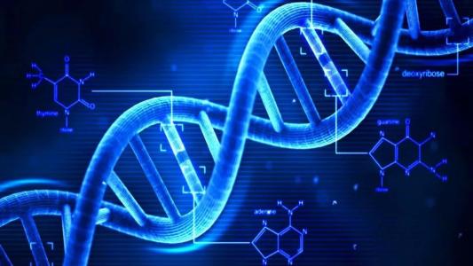 口香糖揭示了最古老的斯堪的纳维亚人类DNA