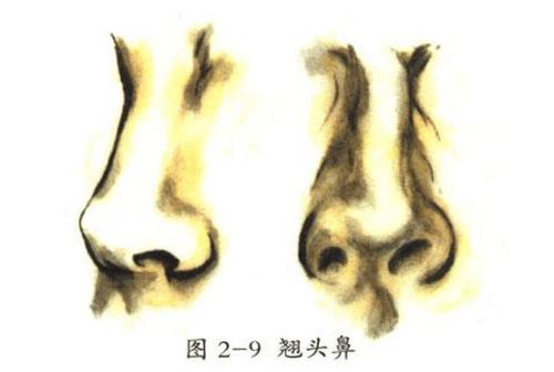 科学家发现鼻子形状与气候变化之间的关系