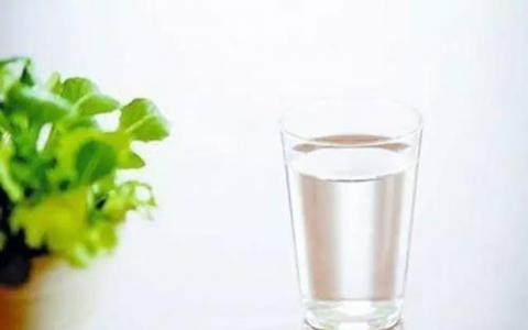 为了我们的健康 喝水养生牢记这些禁忌这样喝水最养生