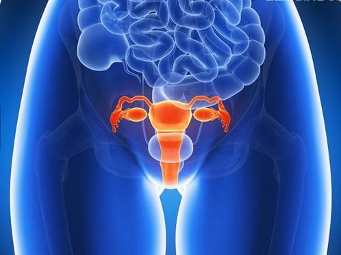 子宫颈癌主要由高危型HPV持续感染所致