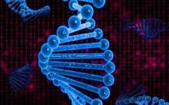 古代DNA首次从直布罗陀的尼安德特人化石中提取出来