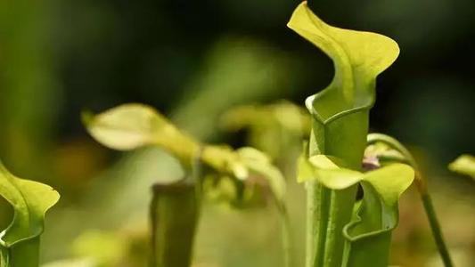 用突破性的生物启发化学清洗我们的水