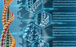 通过分子数据存储 猫视频可以比我们所有人都长