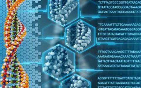 通过分子数据存储 猫视频可以比我们所有人都长