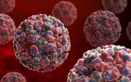 一种名为KHNYN的新鉴定蛋白与ZAP合作 以摧毁与HIV相关的病毒