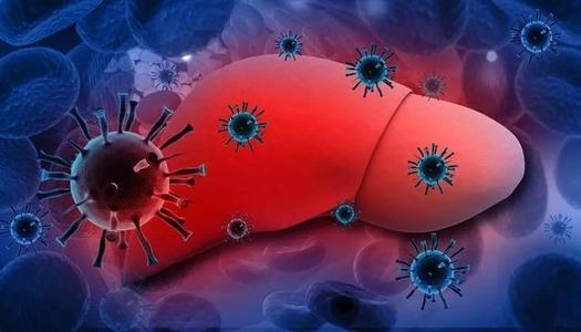 科学家绘制了戊型肝炎的高危地区