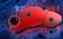 科学家绘制了戊型肝炎的高危地区